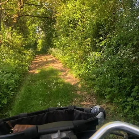 La Grisolle De 4 A 14 Personnes