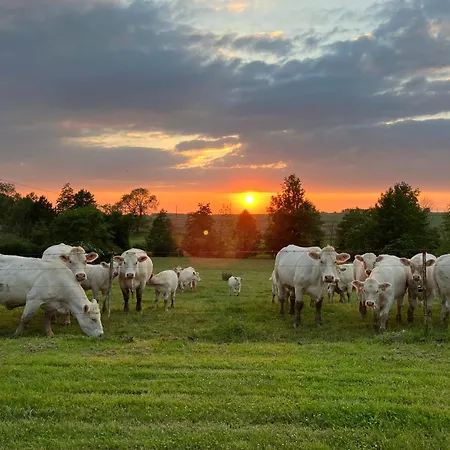 La Grisolle De 4 A 14 Personnes בית נופש *