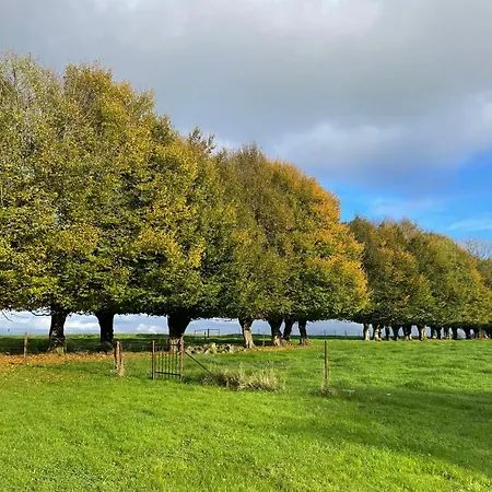 La Grisolle De 4 A 14 Personnes בית נופש