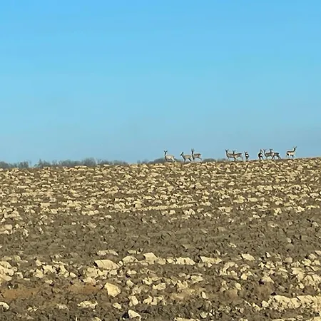 בית נופש La Grisolle De 4 A 14 Personnes